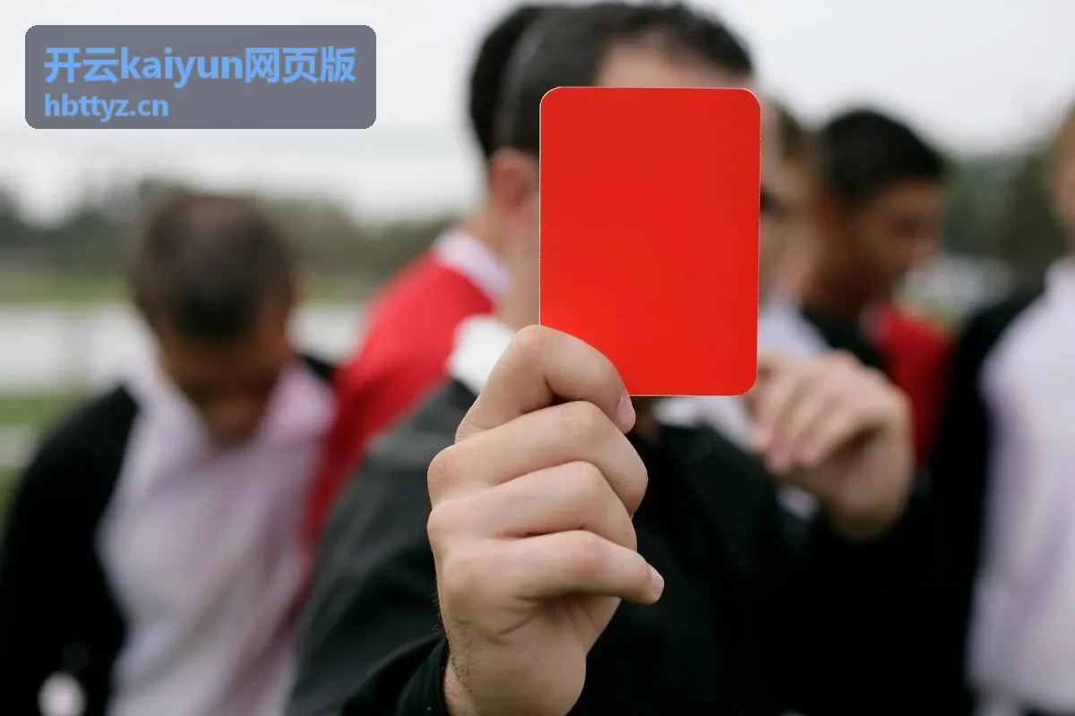 开云kaiyun网页版星轨收集项目封面